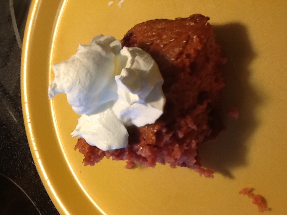 We topped ours with cool whip and it was yummy. You can do without icing at all this cake is so good!