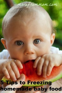 how to freeze homemade baby food